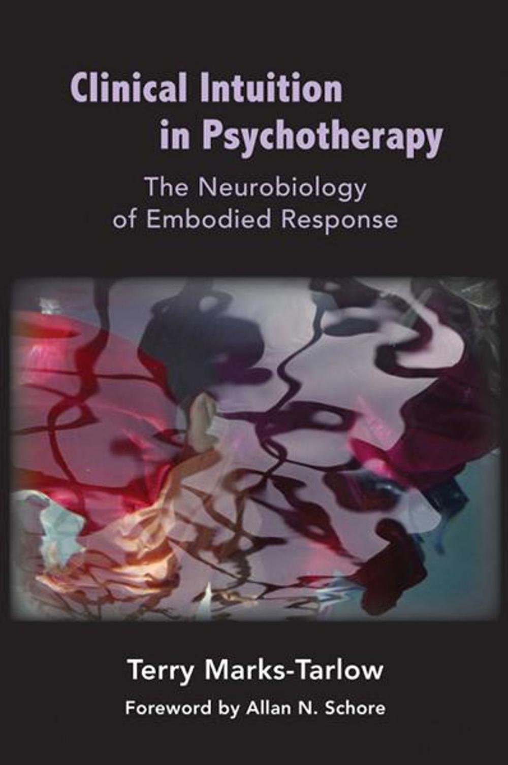 Big bigCover of Clinical Intuition in Psychotherapy: The Neurobiology of Embodied Response (Norton Series on Interpersonal Neurobiology)