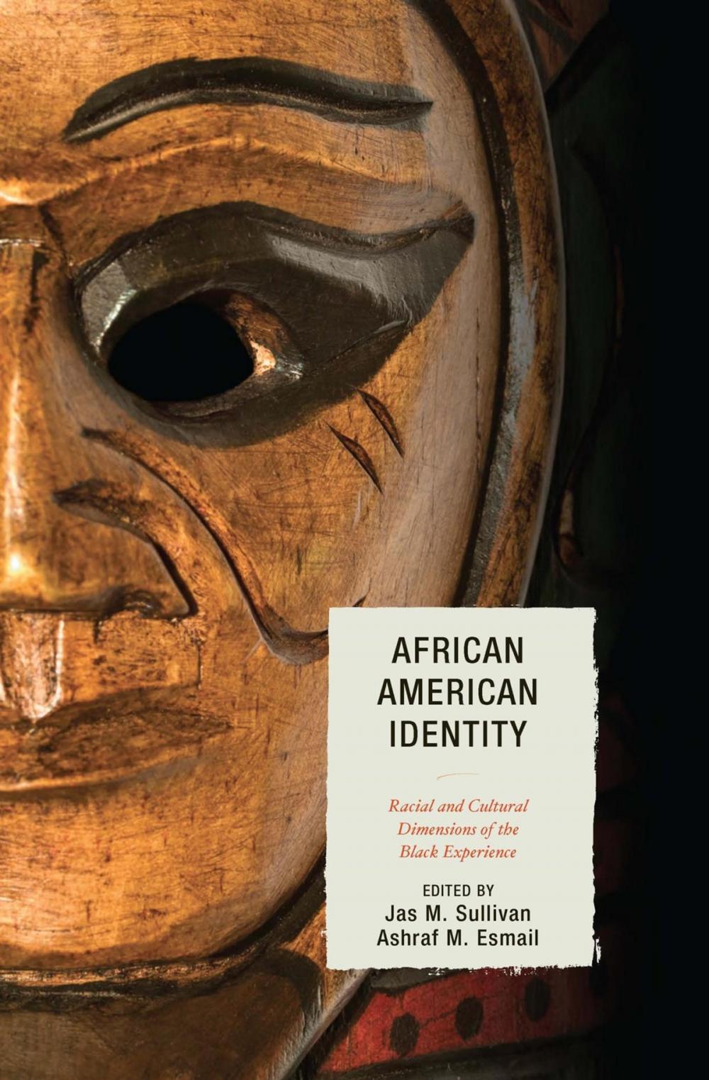 Big bigCover of African American Identity