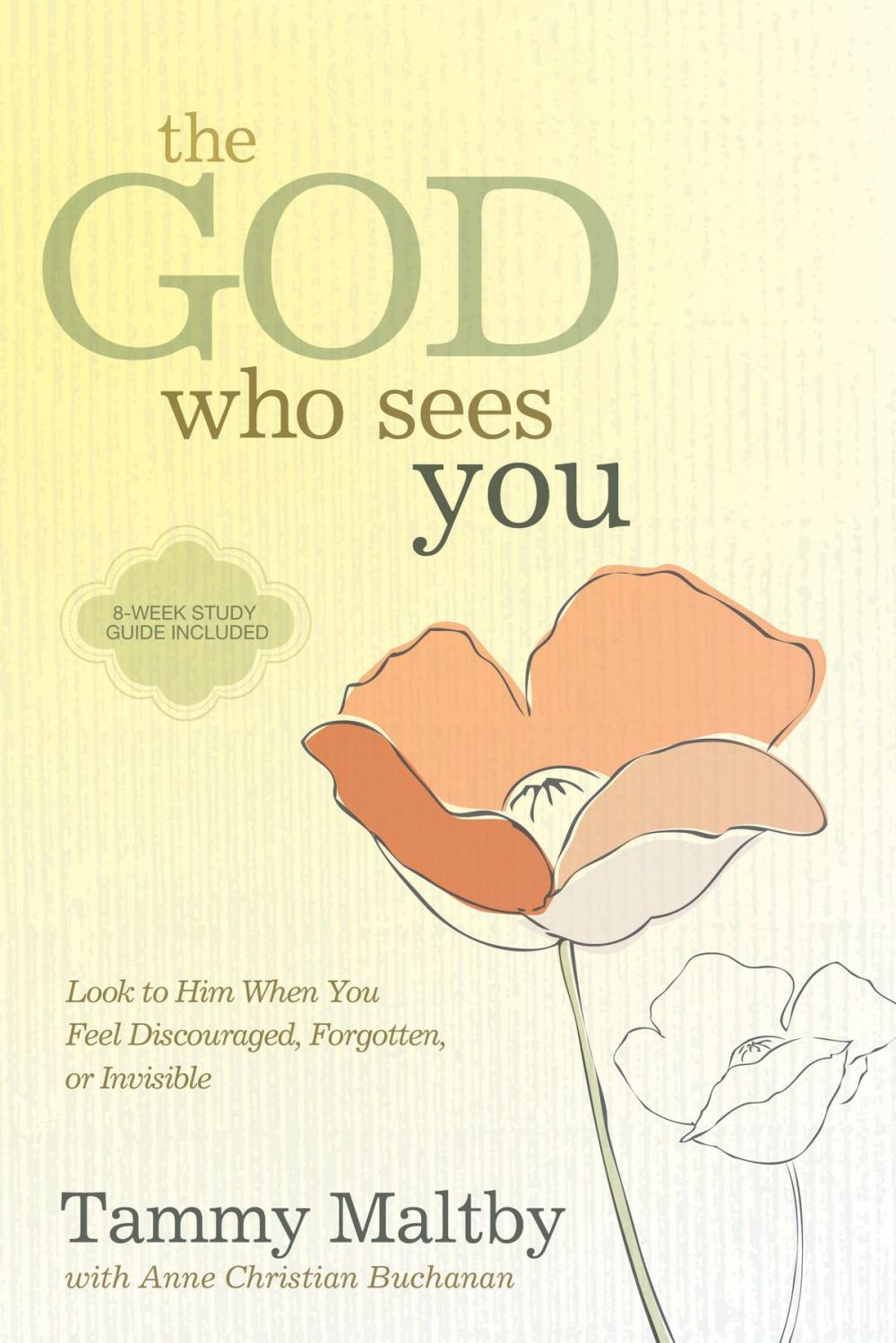 Big bigCover of The God Who Sees You