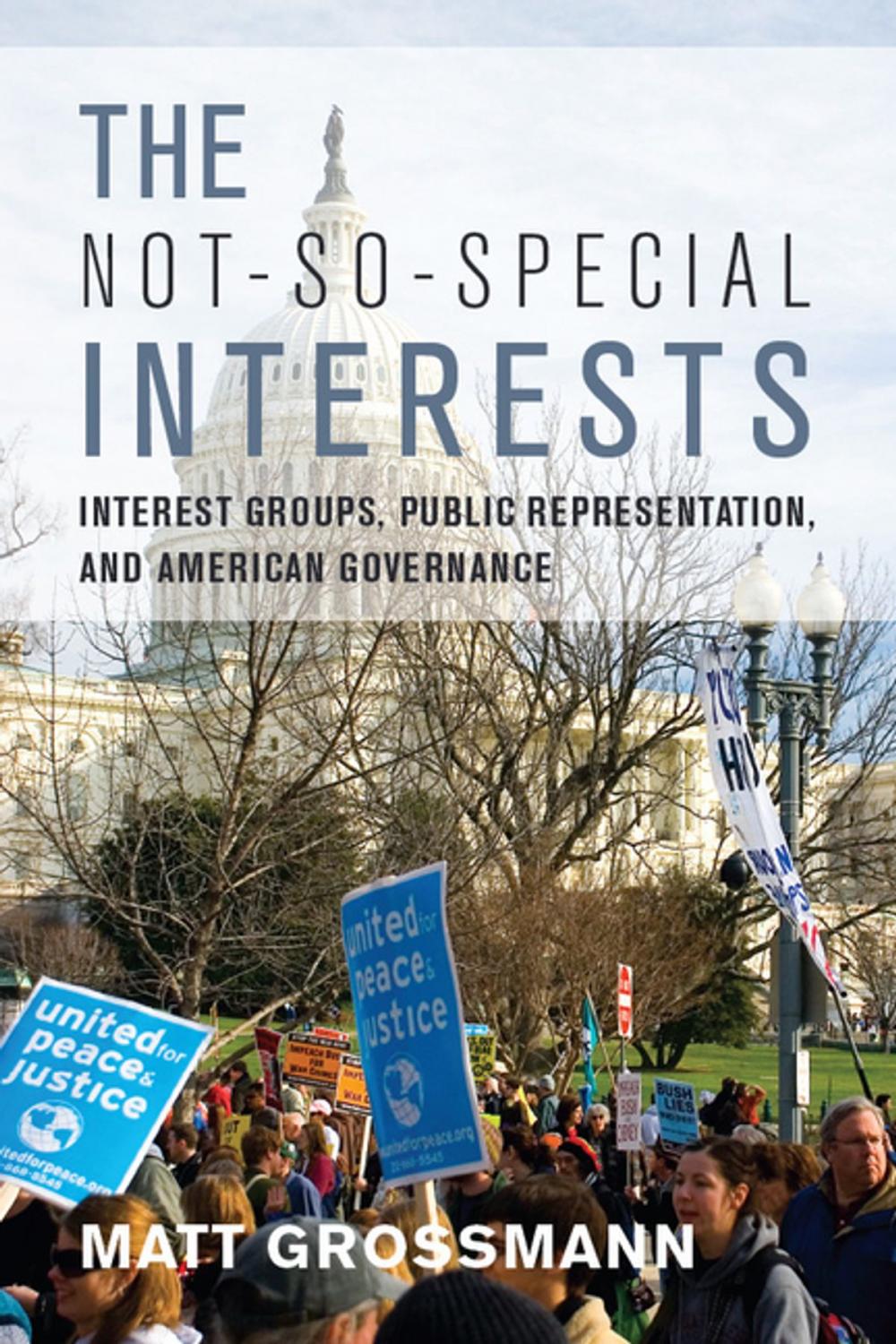 Big bigCover of The Not-So-Special Interests