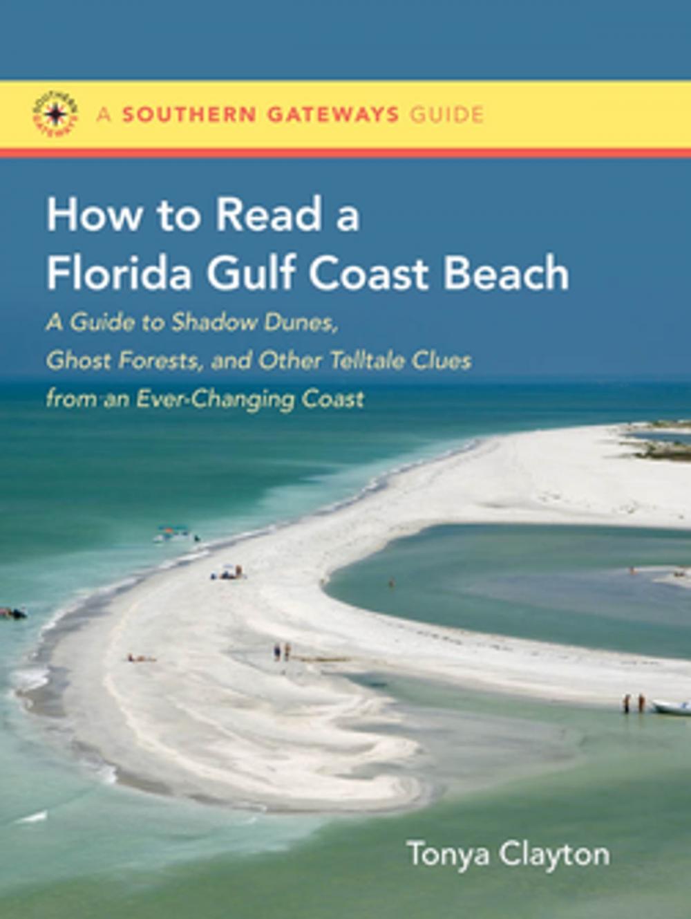 Big bigCover of How to Read a Florida Gulf Coast Beach