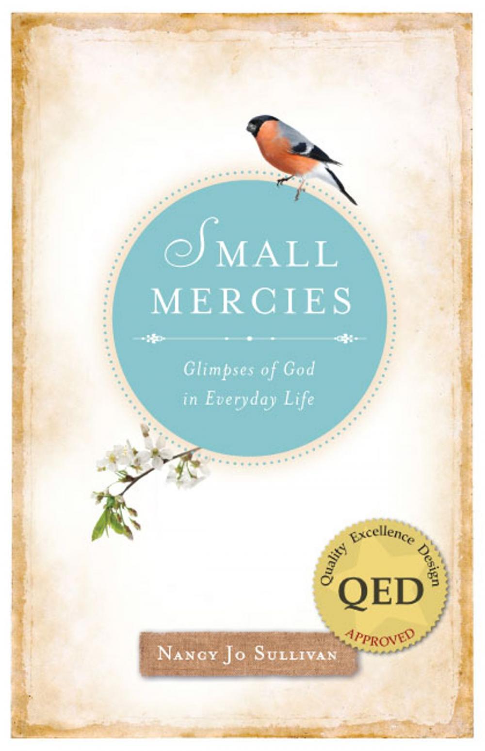 Big bigCover of Small Mercies