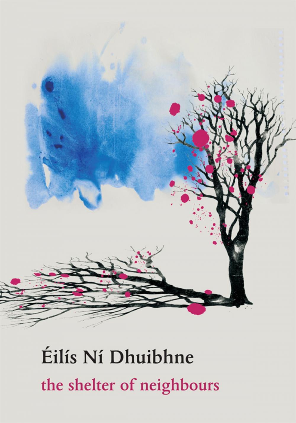 Big bigCover of The Shelter of Neighbours: Fourteen Contemporary Irish Short Stories