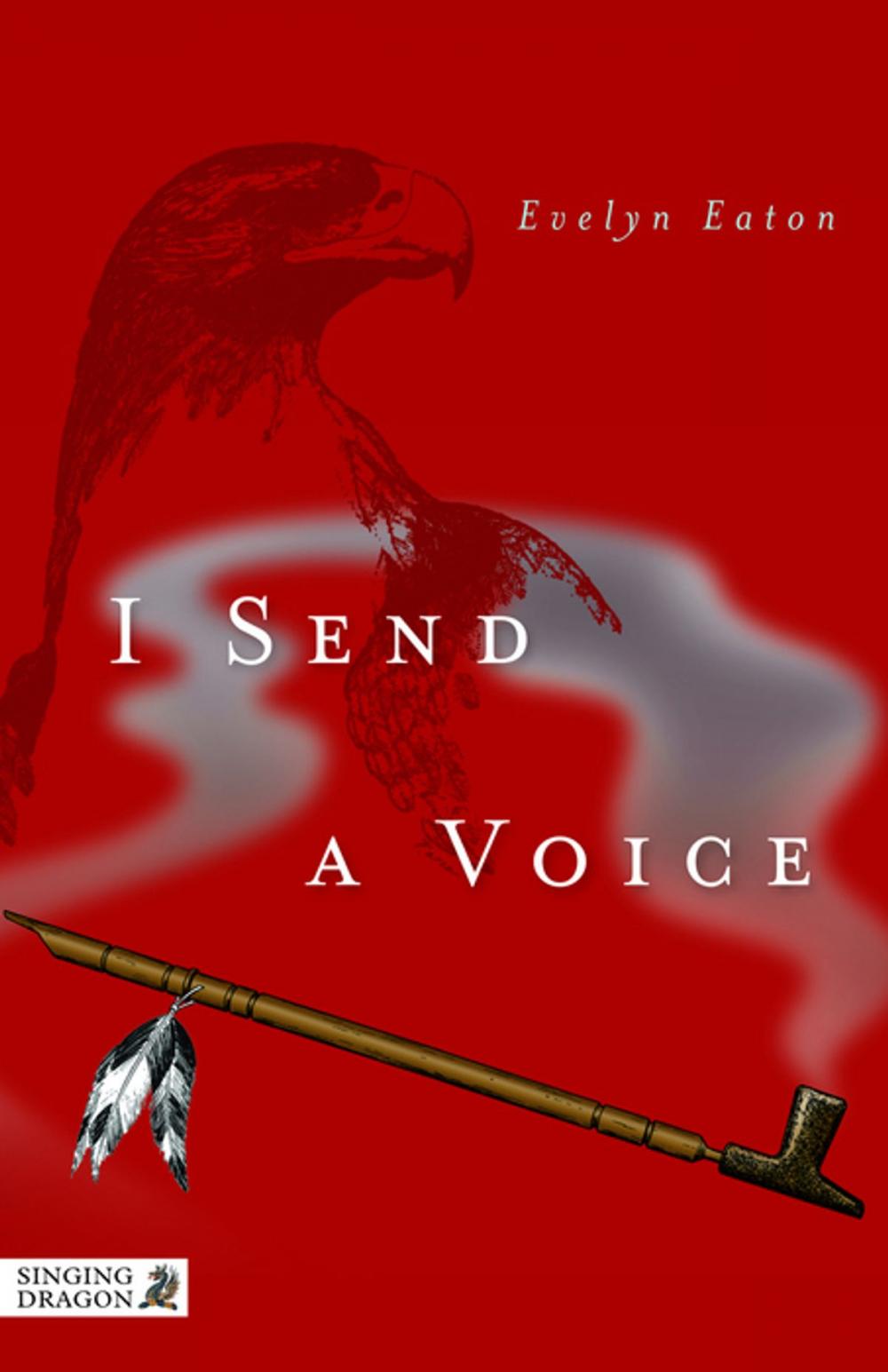 Big bigCover of I Send a Voice