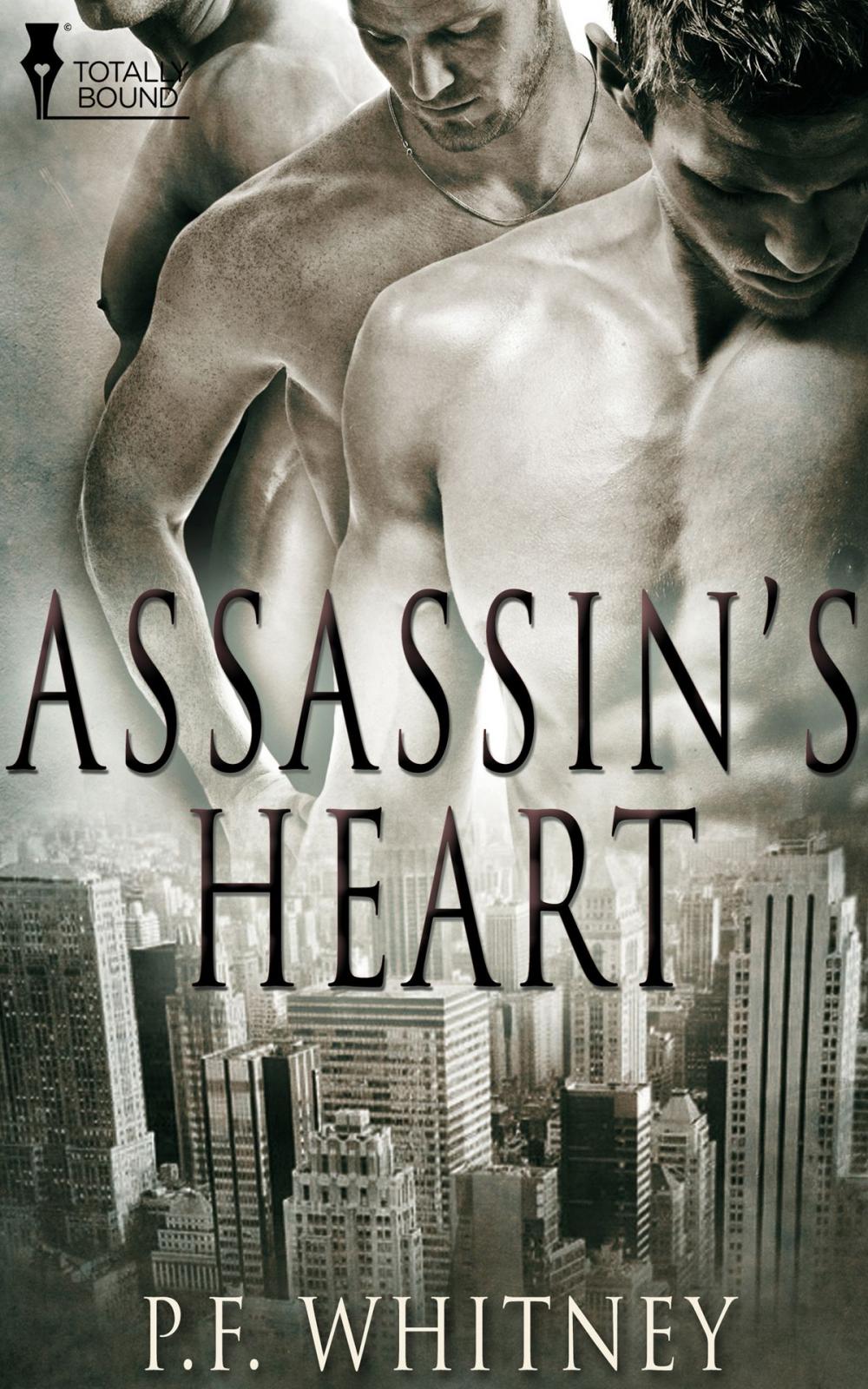 Big bigCover of Assassin's Heart