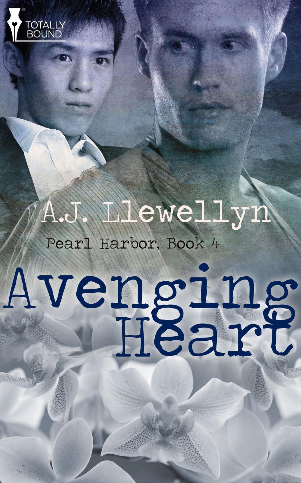 Big bigCover of Avenging Heart