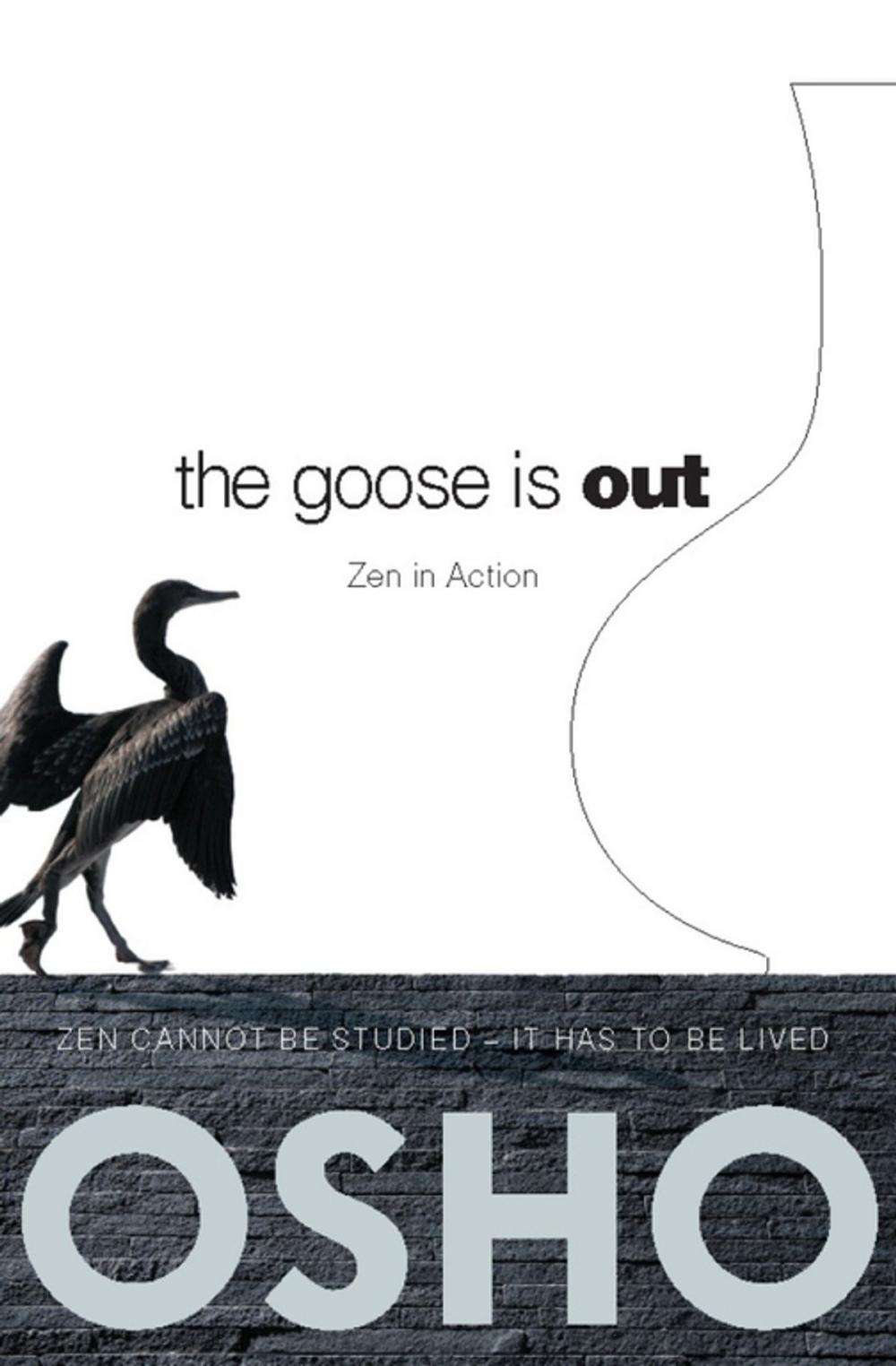 Big bigCover of The Goose Is Out