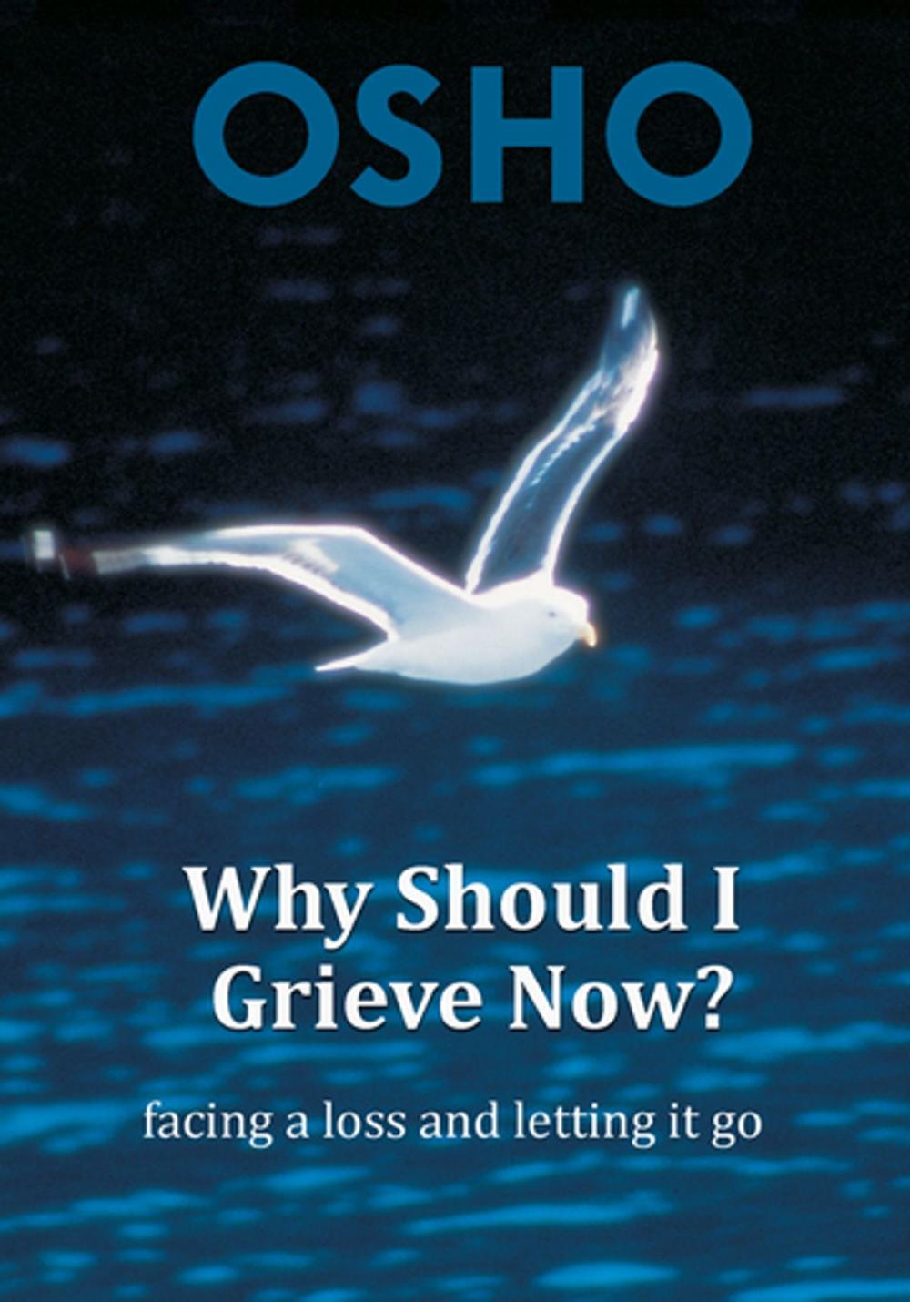 Big bigCover of Why Should I Grieve Now?