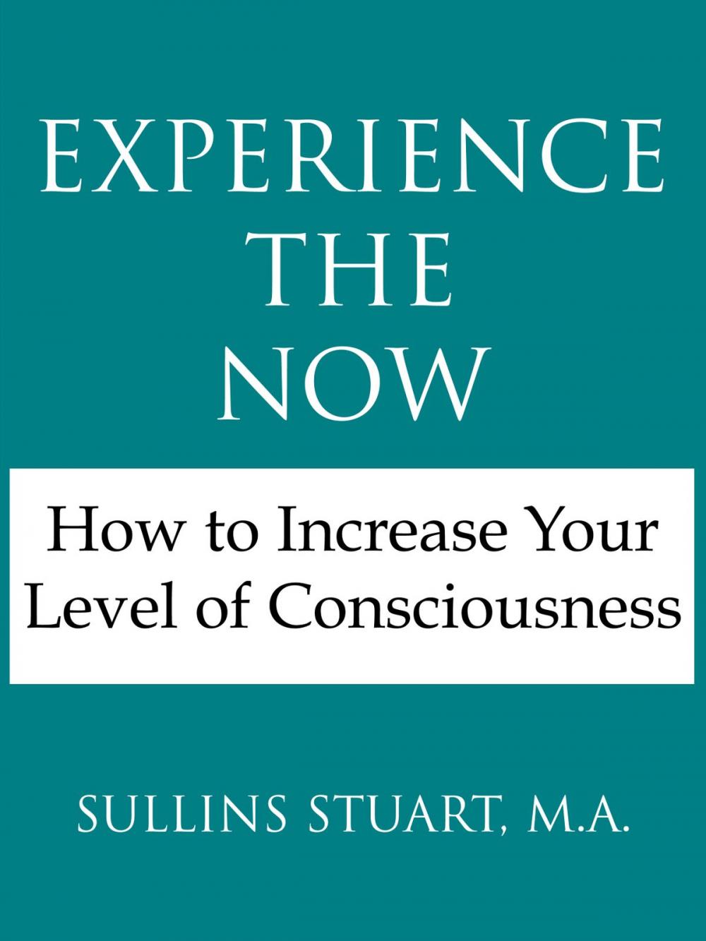 Big bigCover of Experience the Now: How to Increase Your Level of Consciousness