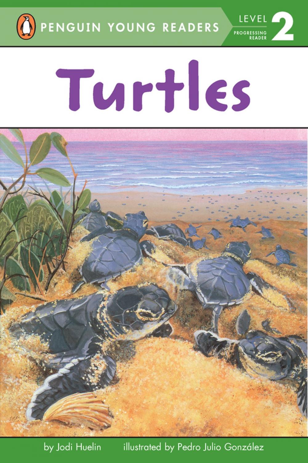 Big bigCover of Turtles