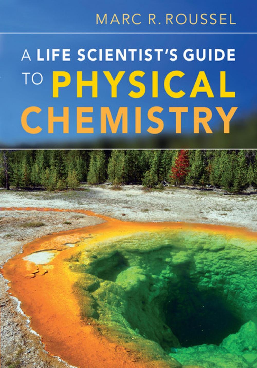 Big bigCover of A Life Scientist's Guide to Physical Chemistry