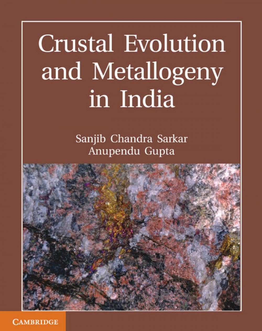 Big bigCover of Crustal Evolution and Metallogeny in India