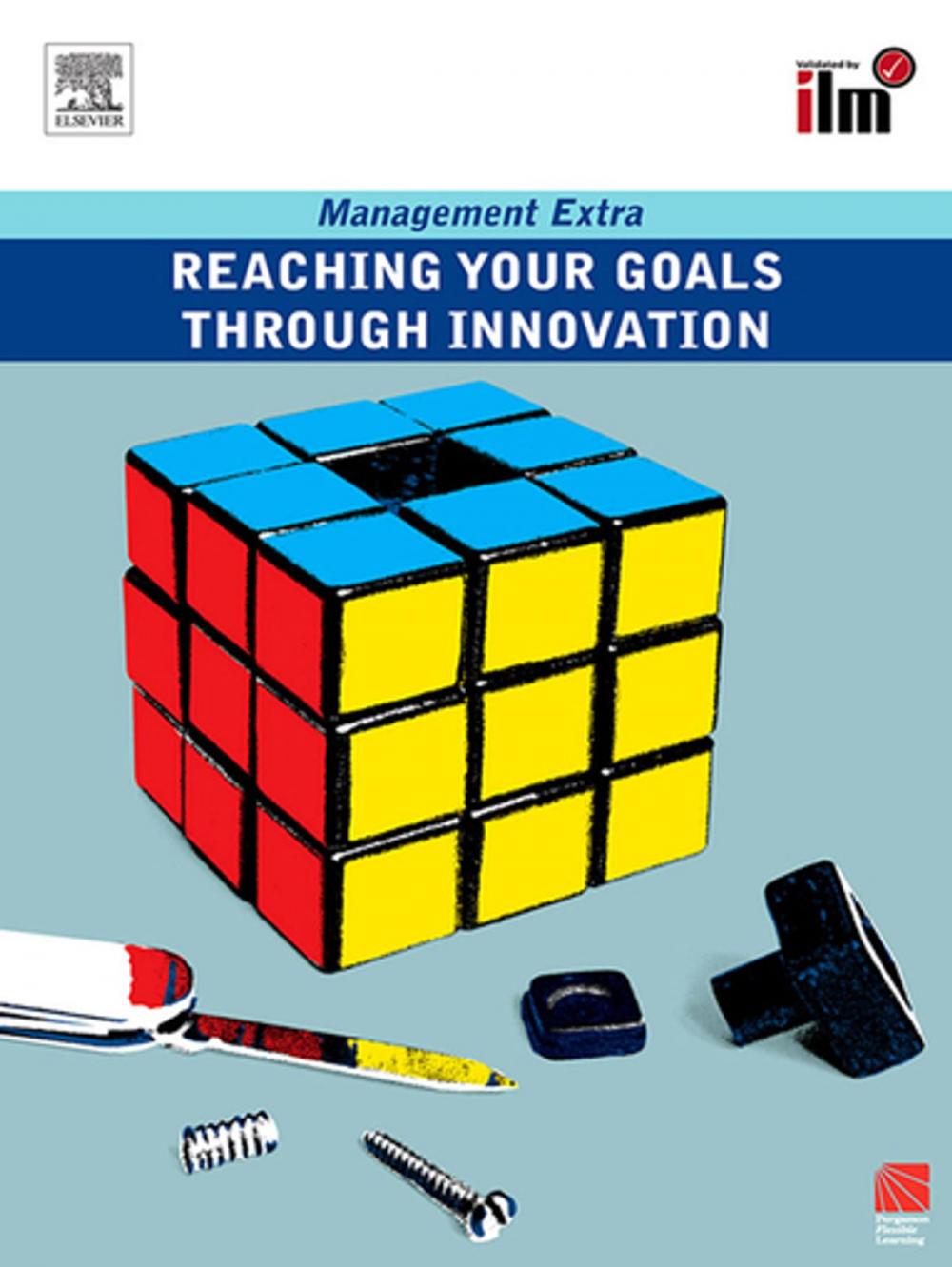 Big bigCover of Reaching Your Goals Through Innovation