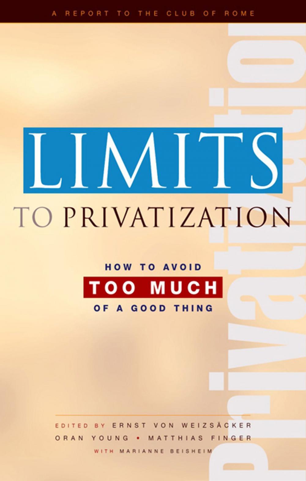 Big bigCover of Limits to Privatization