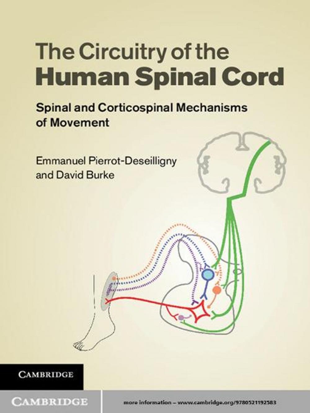 Big bigCover of The Circuitry of the Human Spinal Cord