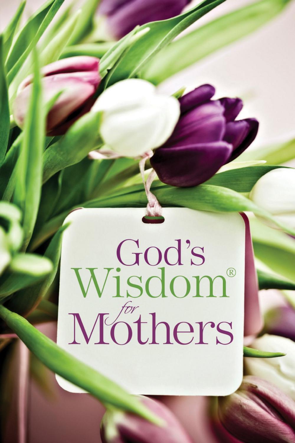 Big bigCover of God's Wisdom for Mothers