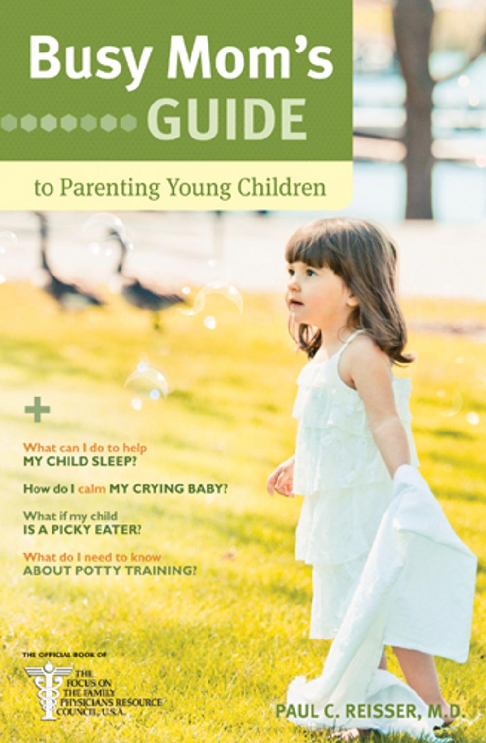 Big bigCover of Busy Mom's Guide to Parenting Young Children