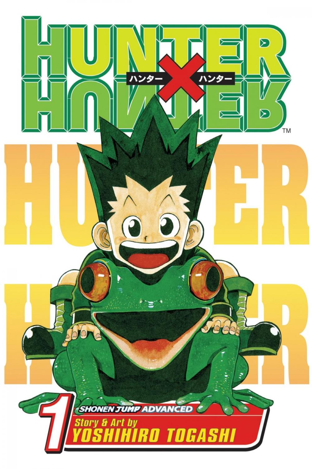 Big bigCover of Hunter x Hunter, Vol. 1