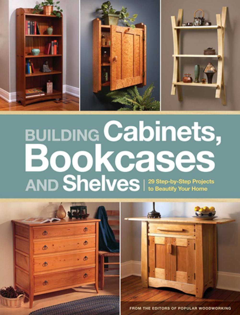 Big bigCover of Building Cabinets, Bookcases & Shelves