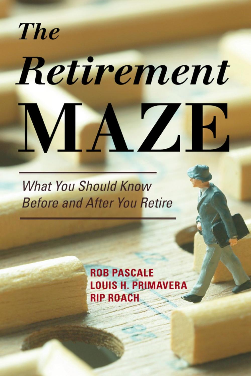 Big bigCover of The Retirement Maze