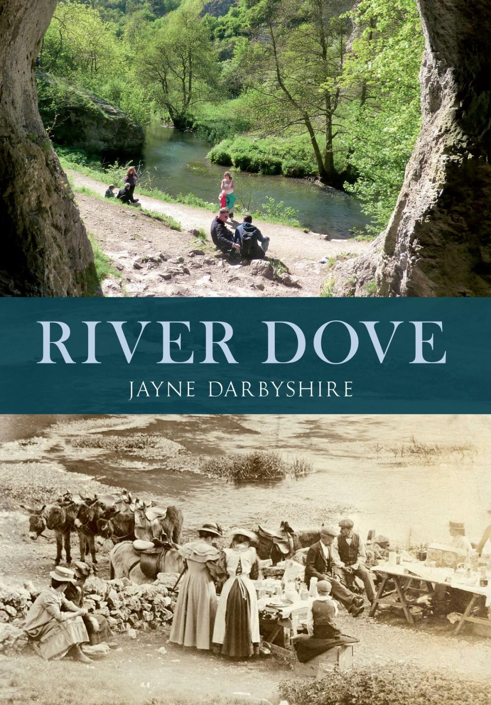 Big bigCover of River Dove