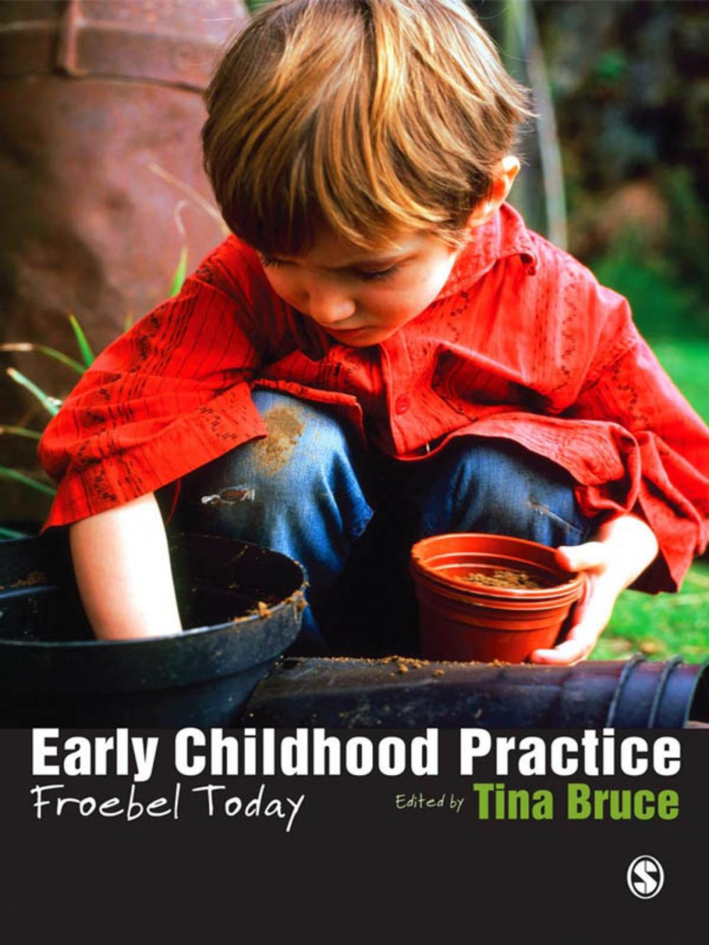 Big bigCover of Early Childhood Practice