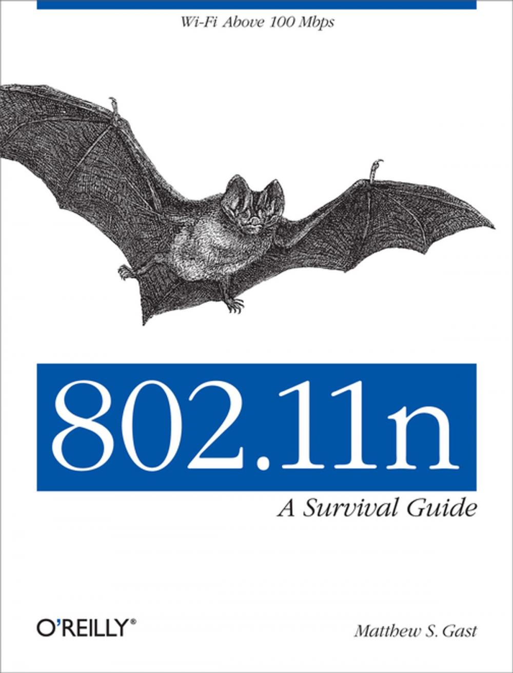 Big bigCover of 802.11n: A Survival Guide