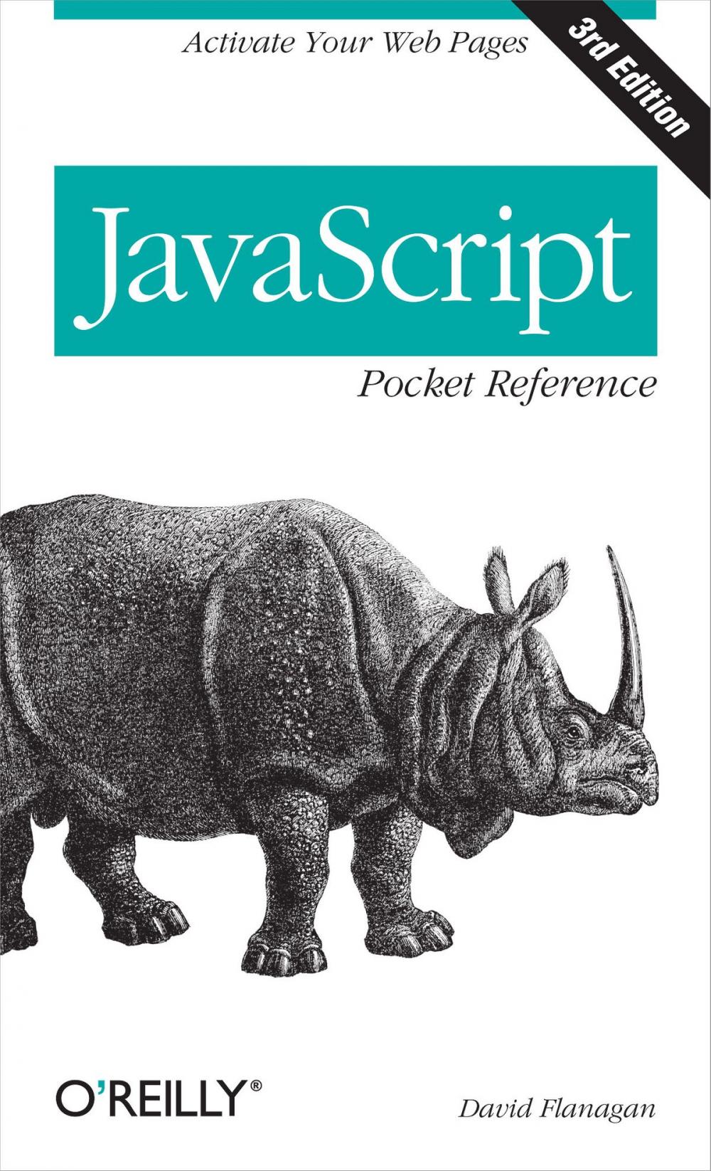 Big bigCover of JavaScript Pocket Reference