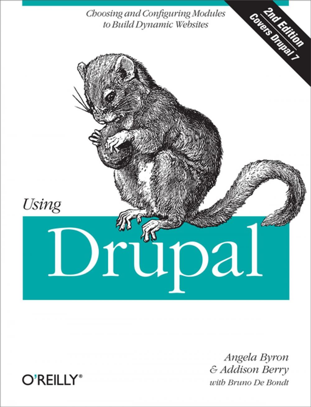 Big bigCover of Using Drupal