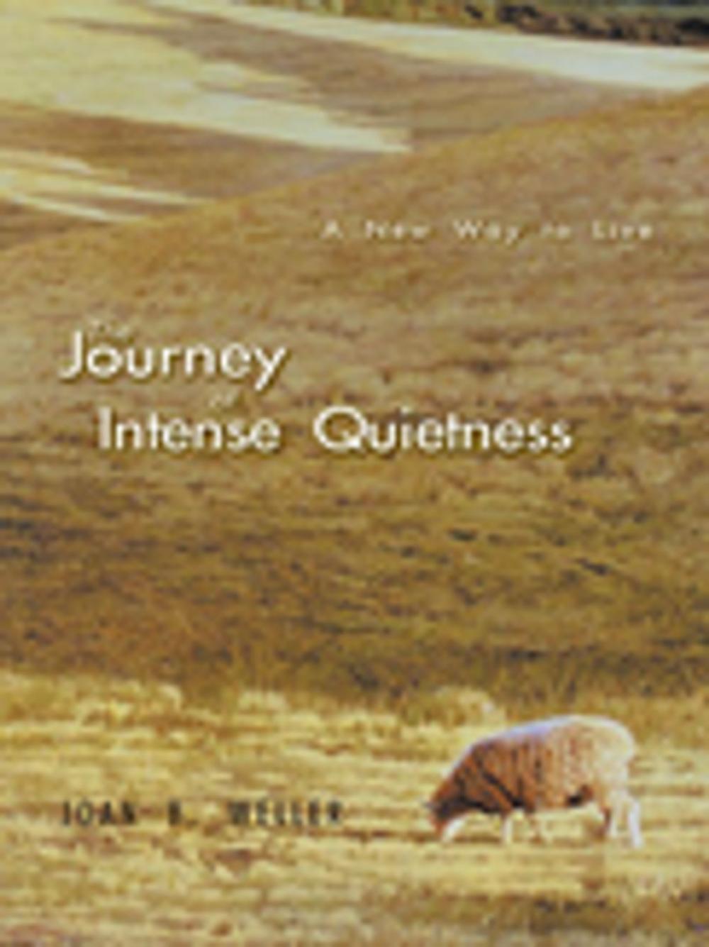 Big bigCover of The Journey of Intense Quietness