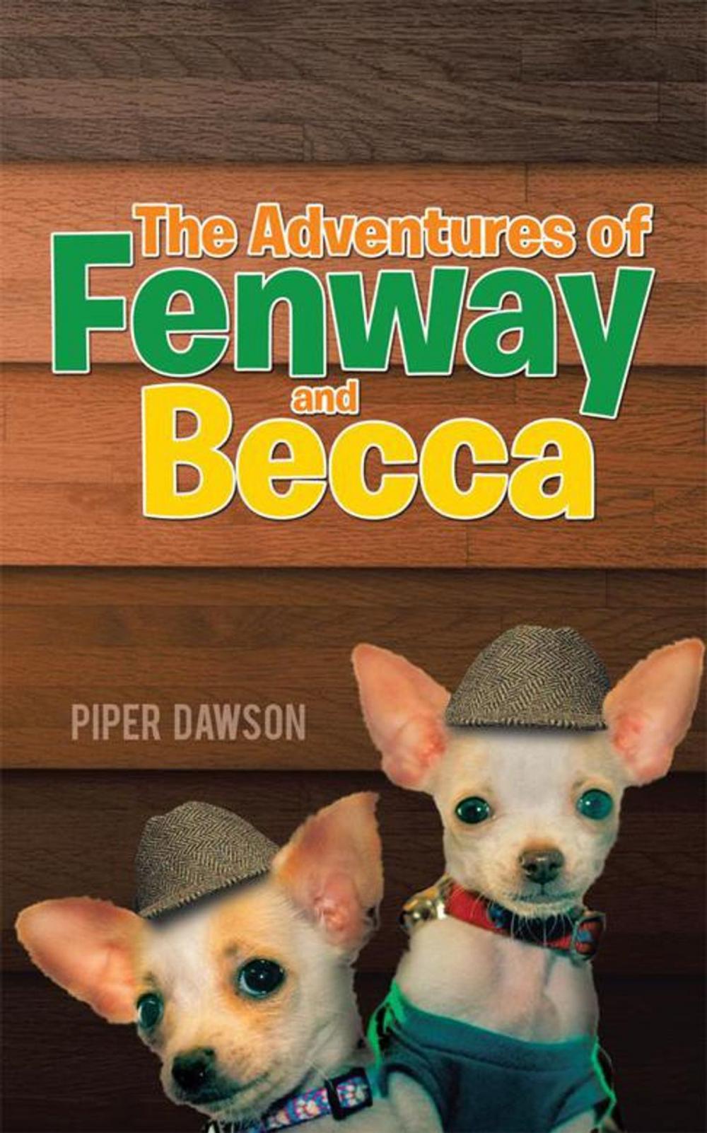 Big bigCover of The Adventures of Fenway and Becca