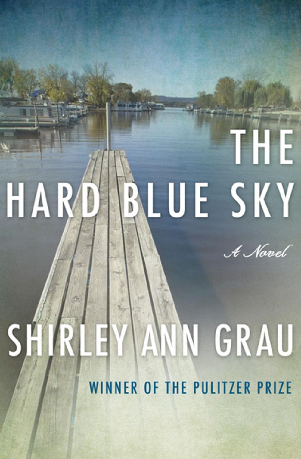 Big bigCover of The Hard Blue Sky