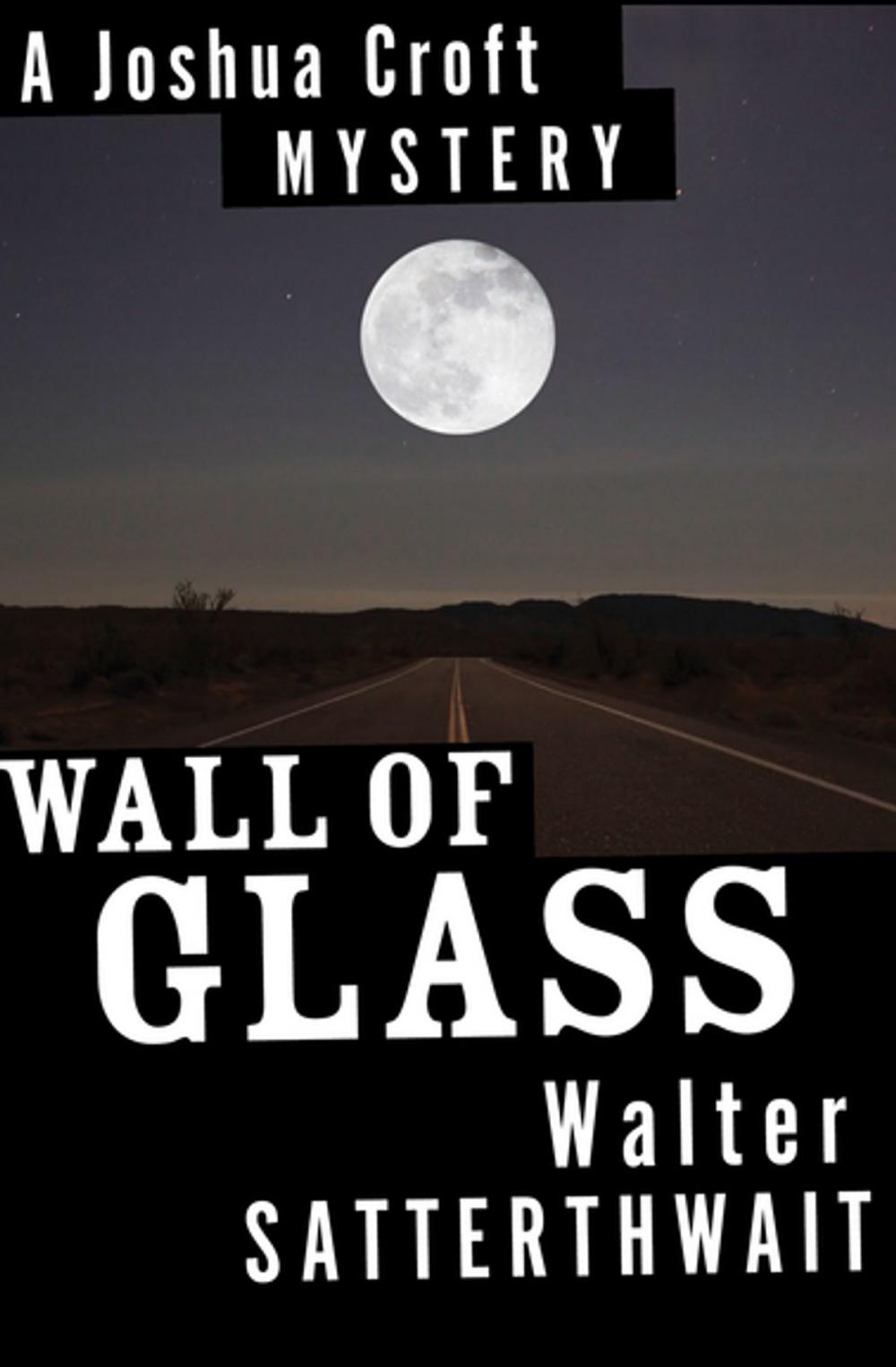 Big bigCover of Wall of Glass