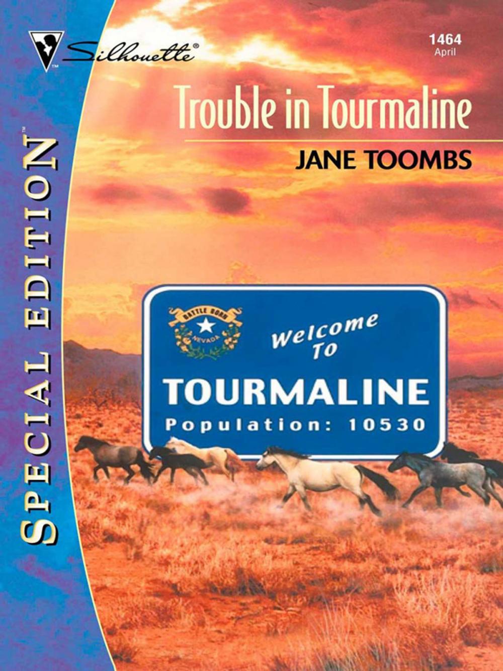Big bigCover of TROUBLE IN TOURMALINE
