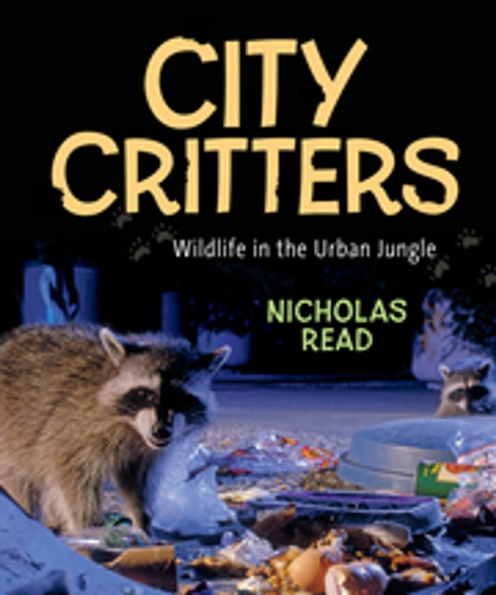 Big bigCover of City Critters: Wildlife in the Urban Jungle