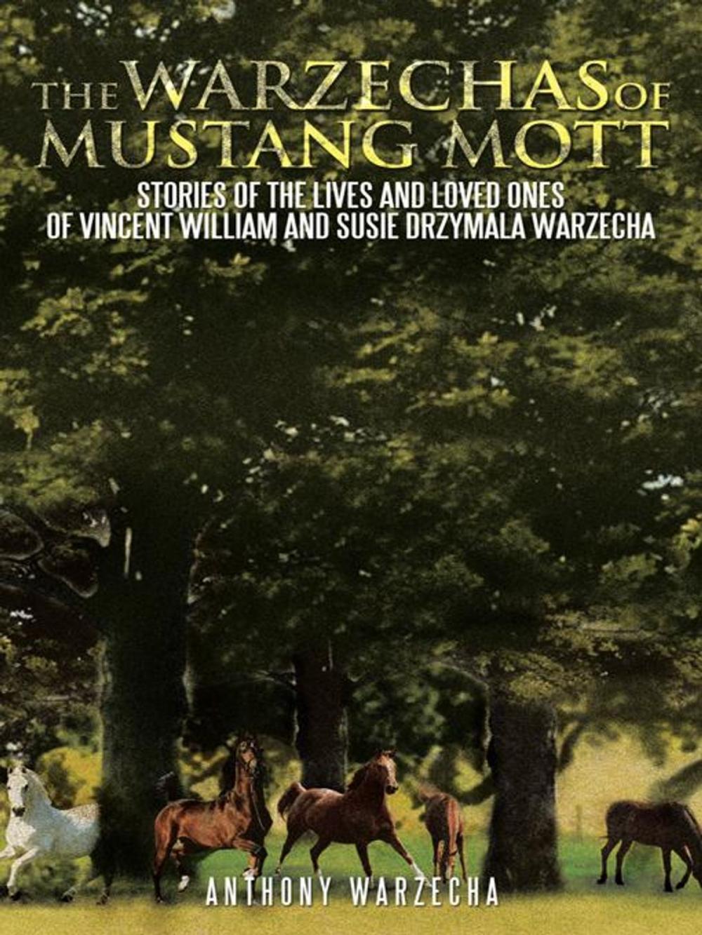 Big bigCover of The Warzechas of Mustang Mott