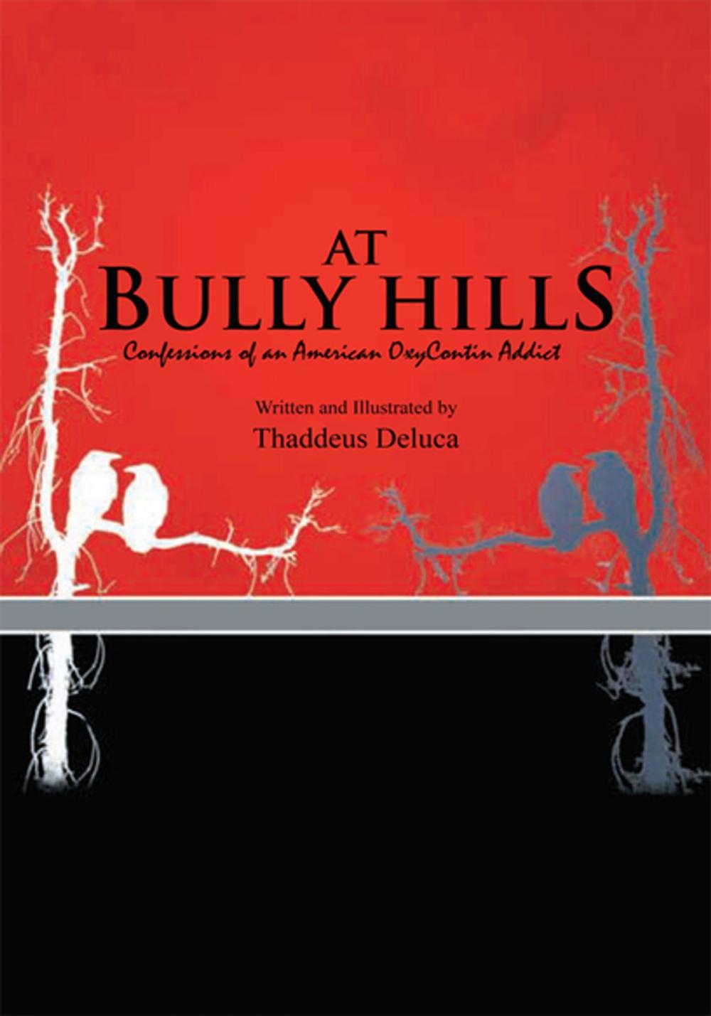 Big bigCover of At Bully Hills