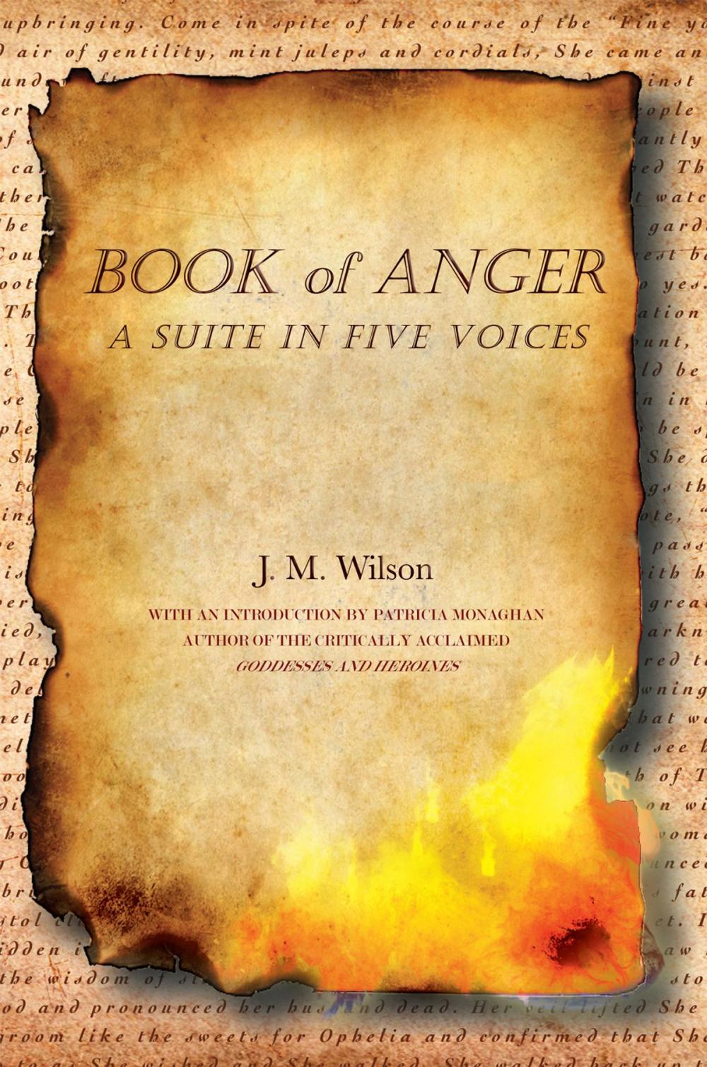 Big bigCover of Book of Anger