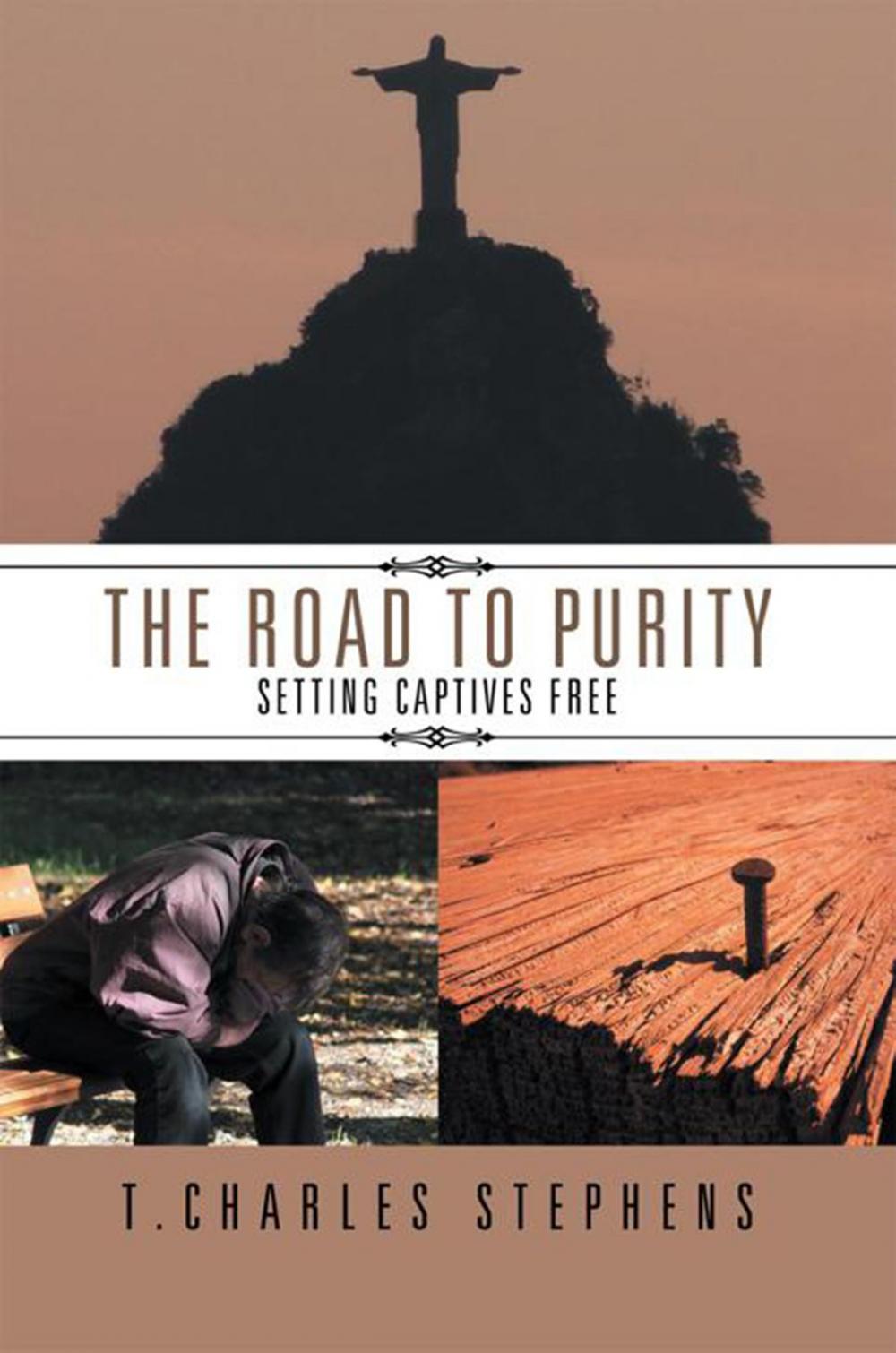 Big bigCover of The Road to Purity