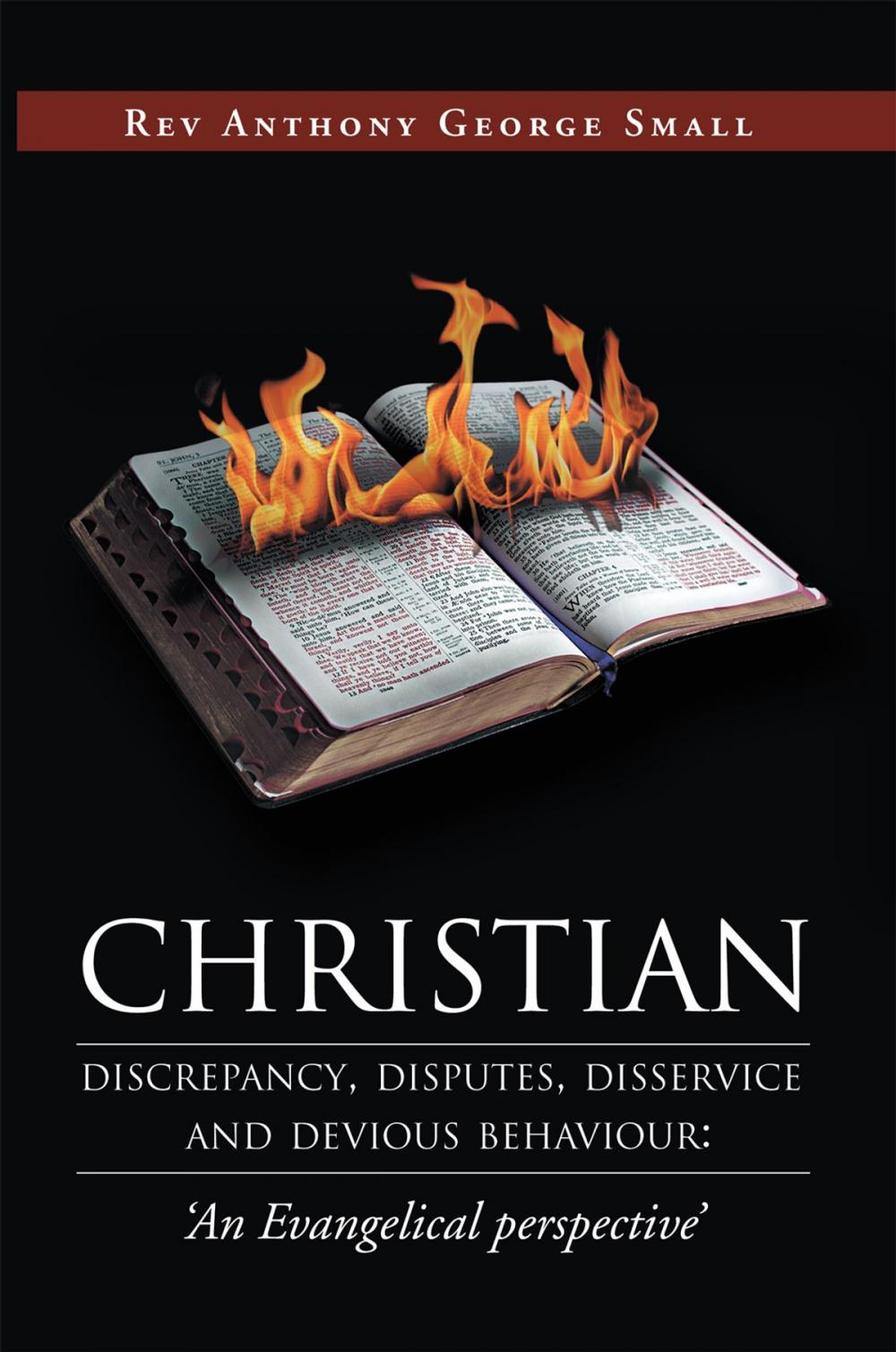 Big bigCover of Christian Discrepancy, Disputes, Disservice and Devious Behaviour:‘An Evangelical Perspective’