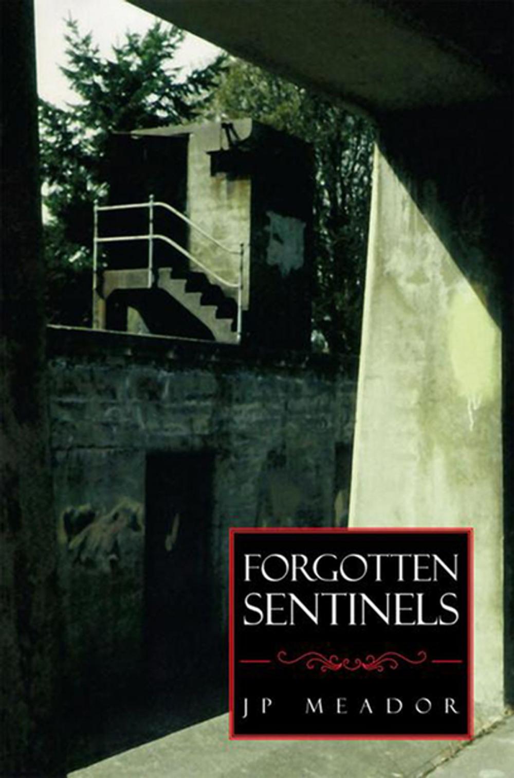 Big bigCover of Forgotten Sentinels