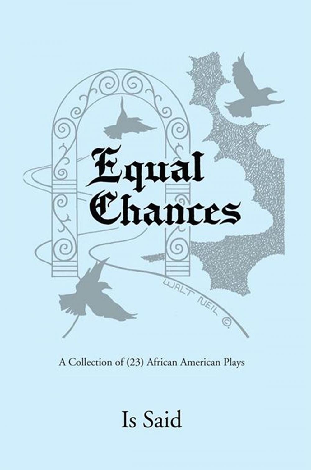 Big bigCover of Equal Chances