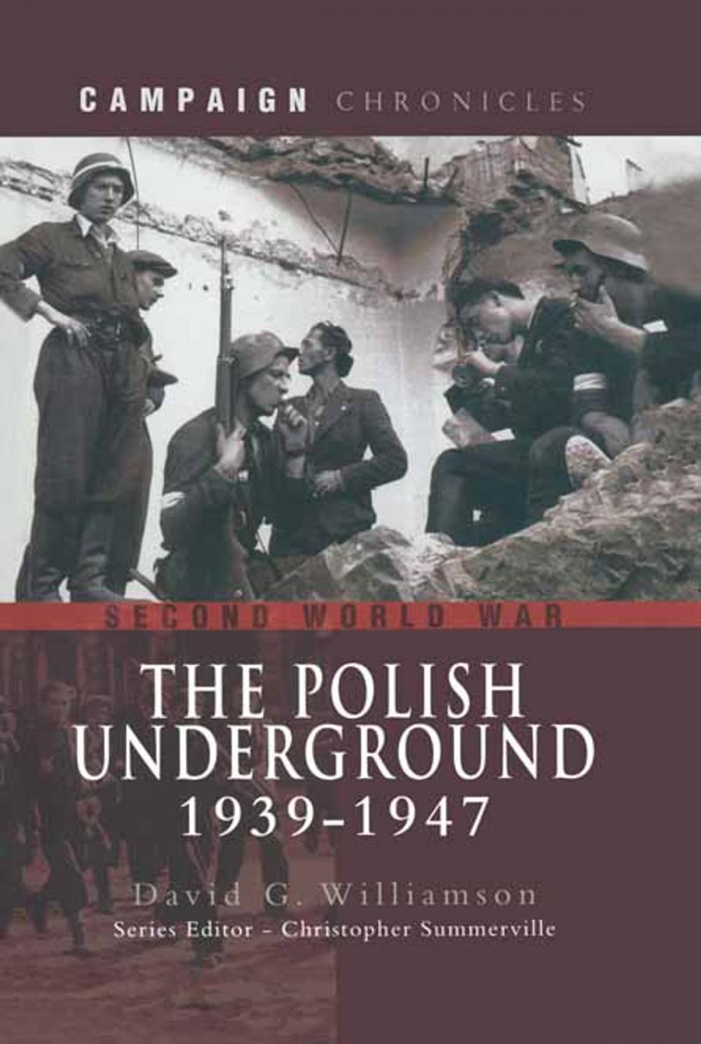 Big bigCover of The Polish Underground 1939-1947
