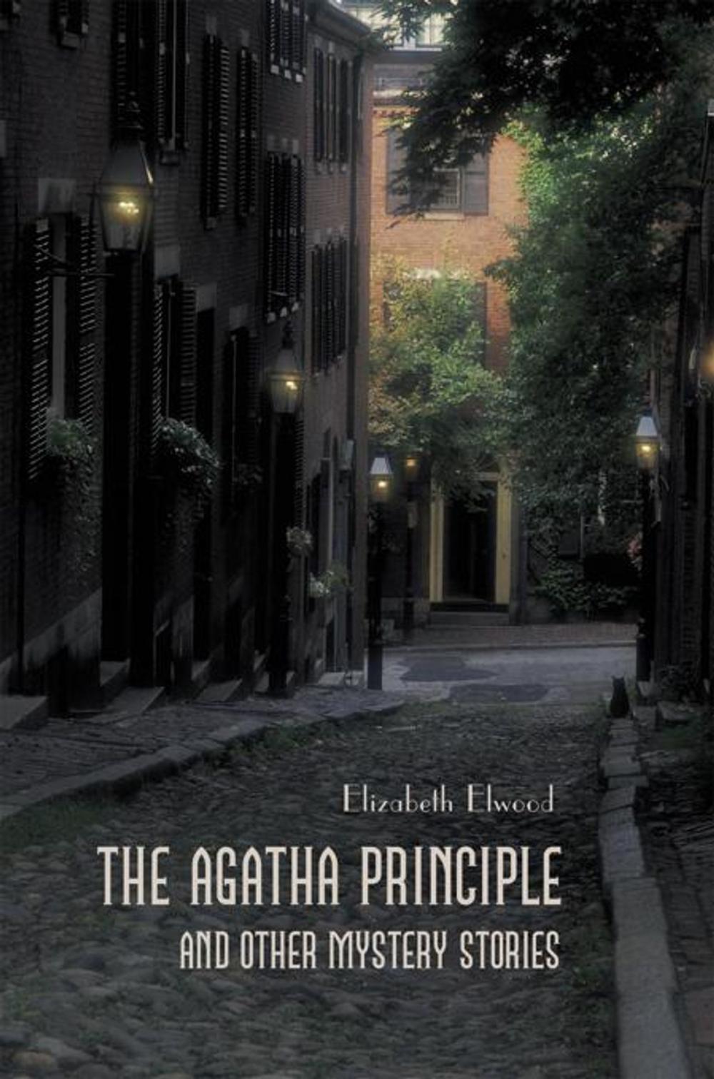 Big bigCover of The Agatha Principle and Other Mystery Stories