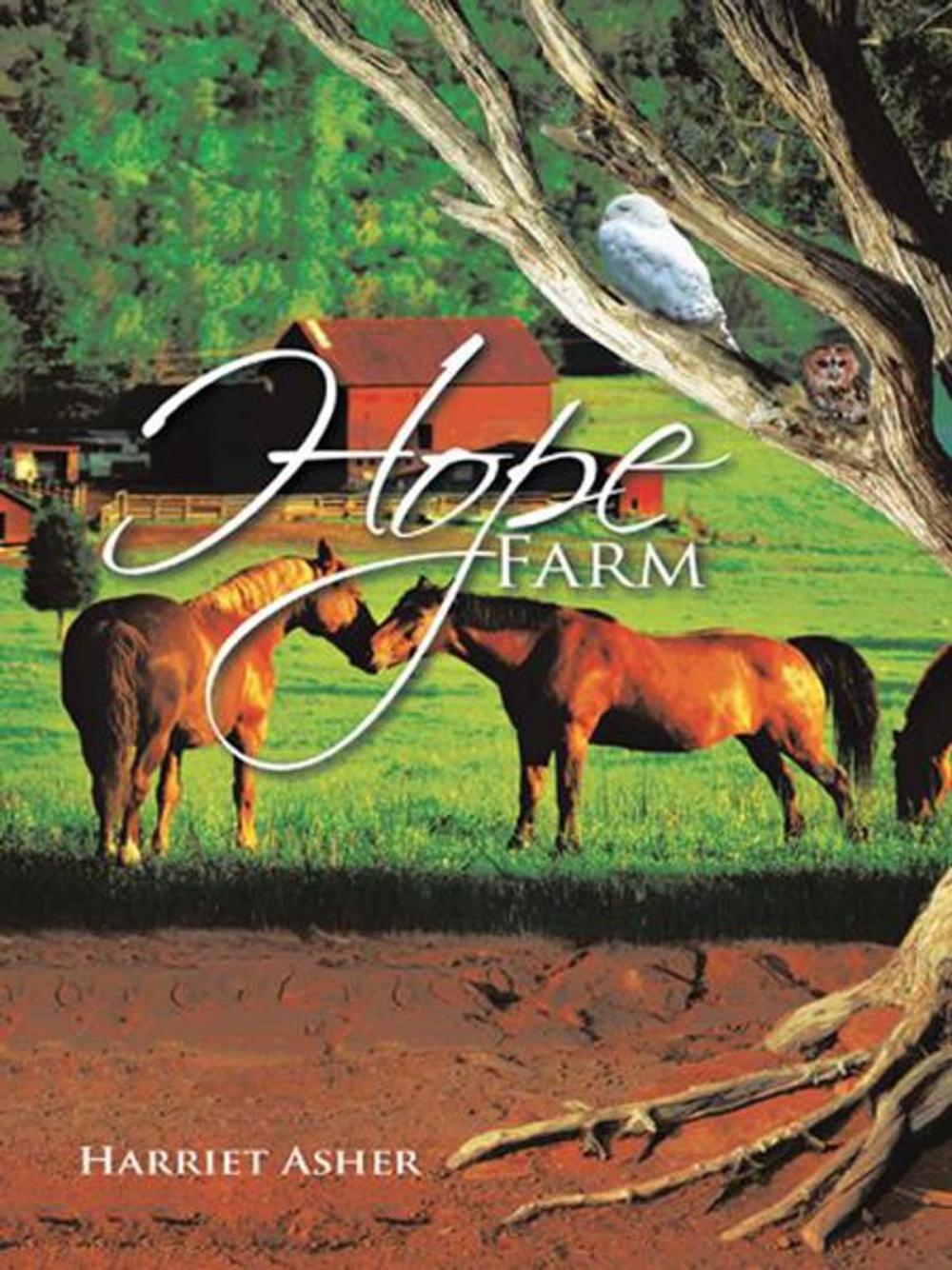 Big bigCover of Hope Farm