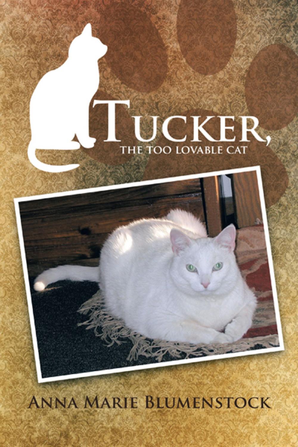 Big bigCover of Tucker, the Too Lovable Cat