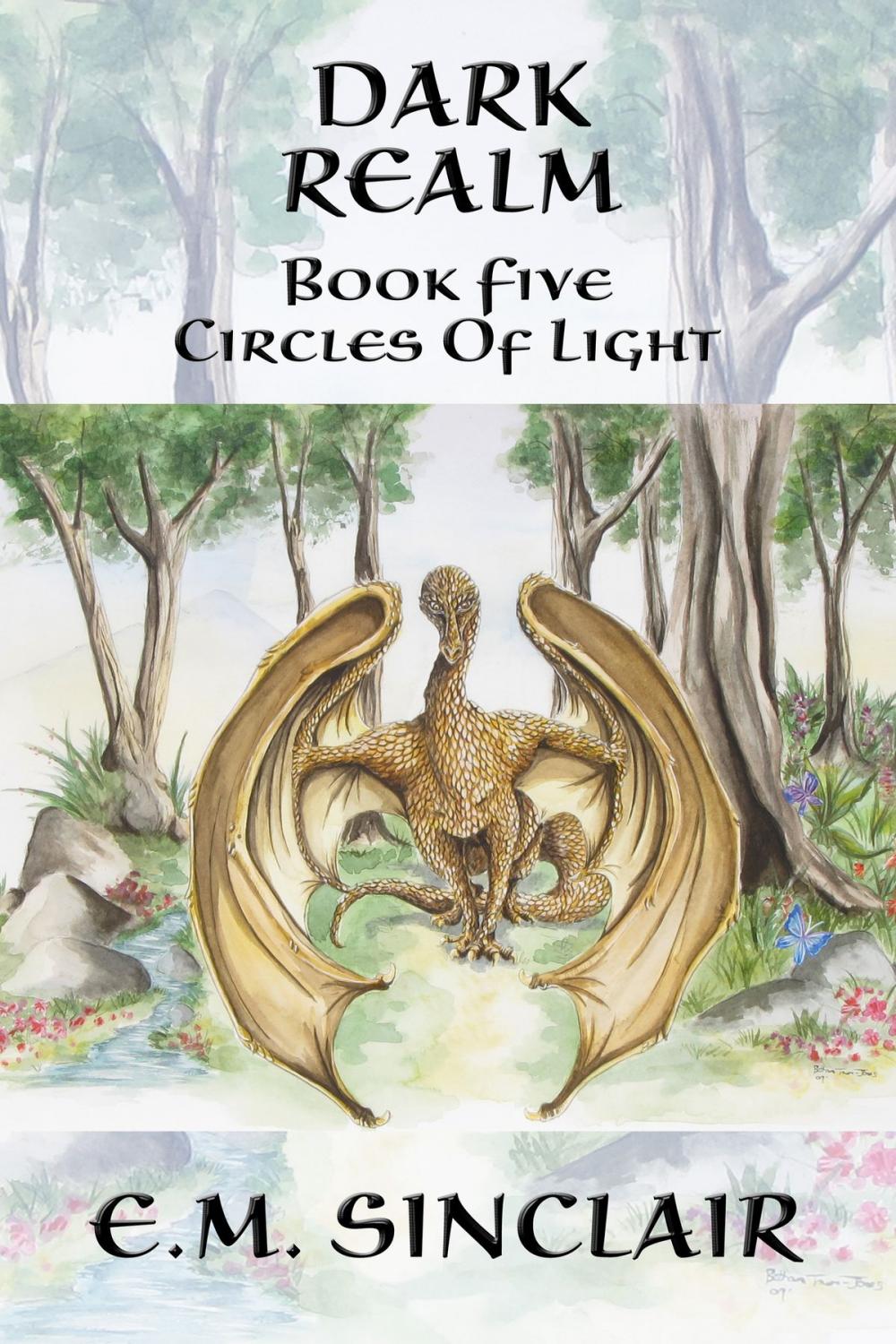 Big bigCover of Dark Realm: Book 5 Circles of Light series