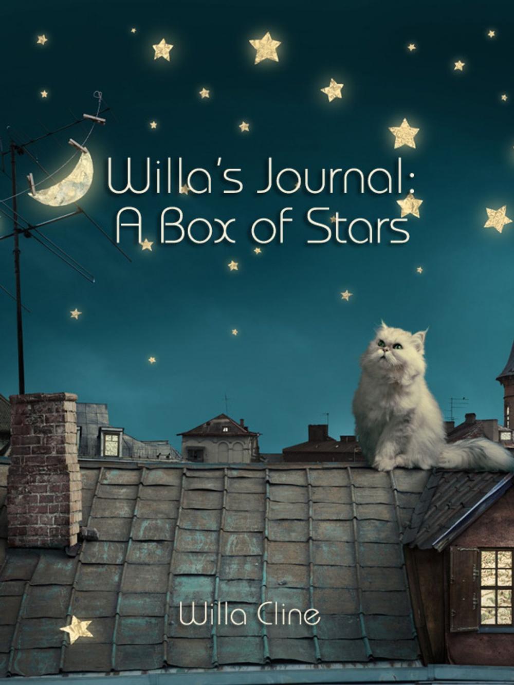 Big bigCover of Willa's Journal: A Box of Stars