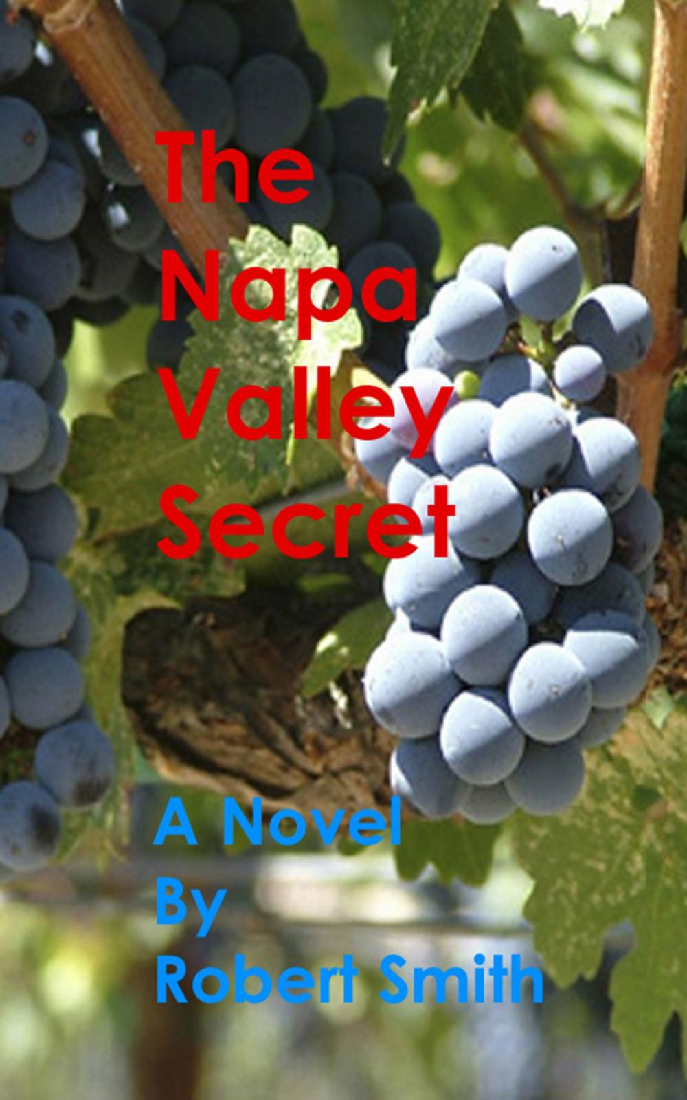 Big bigCover of The Napa Valley Secret