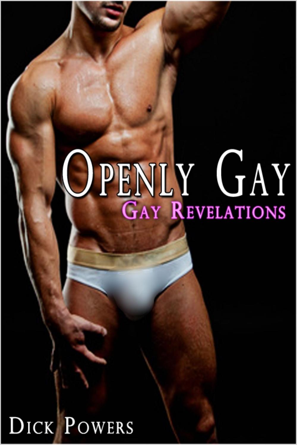 Big bigCover of Openly Gay